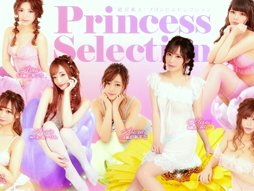 �v�����Z�X�Z���N�V�����_�˓X